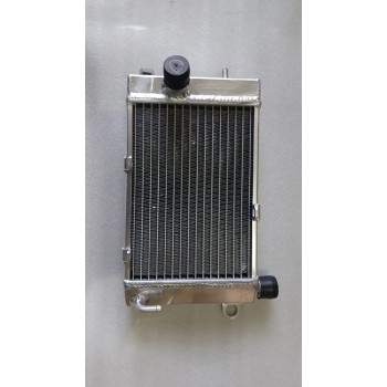 Radiator - Aprilia TUONO 1000 R/H 02-05