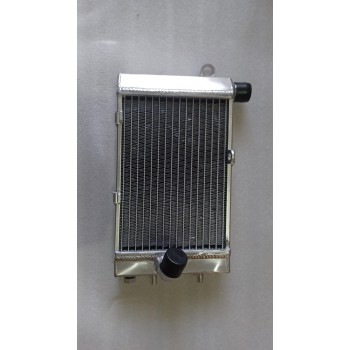 Radiator - Aprilia TUONO 1000 L/H 02-05