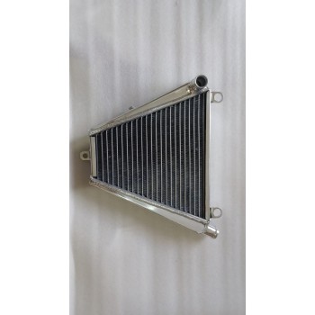 Radiator - Ducati Panigale 1199/1199S/1199R (Lower)