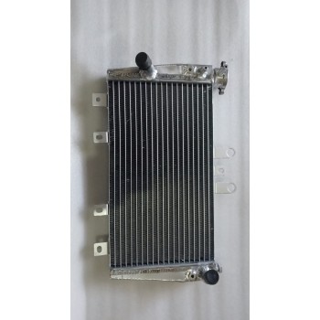 Radiator - Triumph Speed Triple 1050 2005-2010