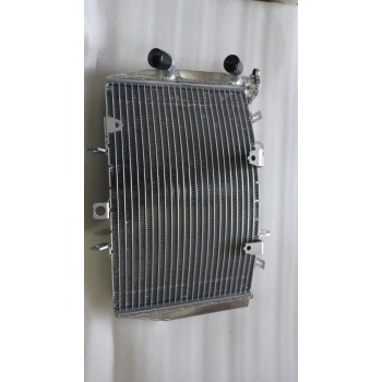 Radiator - Triumph Speed Triple 1050 2011-2015