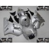 00-01 Kawasaki NINJA ZX12R DESIGN 48