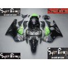 00-01 Kawasaki NINJA ZX12R DESIGN 100