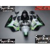 00-01 Kawasaki NINJA ZX12R DESIGN 101