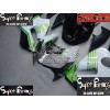 00-01 Kawasaki NINJA ZX12R DESIGN 101