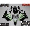 02-06 Kawasaki NINJA ZX12R DESIGN 101