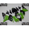 04-05 Kawasaki NINJA ZX10R DESIGN 4