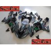 06-07 Kawasaki NINJA ZX10R DESIGN 5