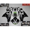 09-12 Kawasaki NINJA ZX6R DESIGN 100