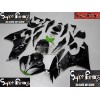 09-12 Kawasaki NINJA ZX6R DESIGN 100