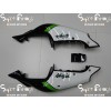 96-03 Kawasaki NINJA ZX7R DESIGN 32