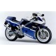 RGV250 VJ21 RGV250 VJ21